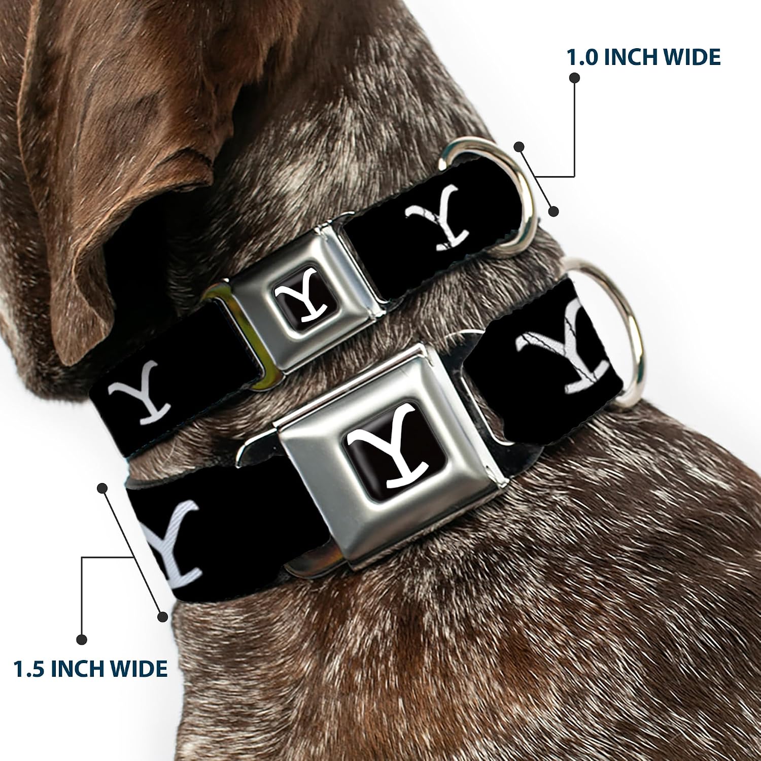 Paramount Network Pet Collar, Dog Collar Metal Seatbelt Buckle, Yellowstone Y Logo Black White, 15 to 24 Inches 1.0 Inch Wide