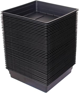 10" x 10" Garden Growing Trays with Drain Holes - 50-pack Recyclable Plastic Plant Trays for Wheatgrass Sprouting Tray, Microgreens Growing Trays, Hydroponic Trays, Nursery Flats, Greenhouse Supplies