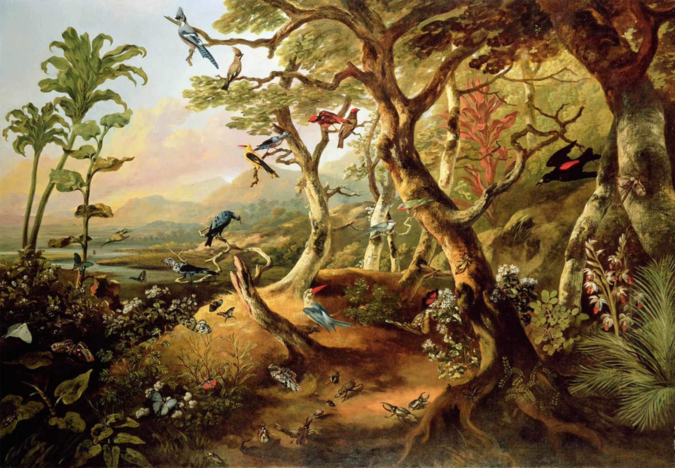 ARTXLXXBN Famous Painting Canvas Artwork Graffiti Print Exotic Birds and Insects Among Trees and Foliage in a Mountainous River Landscape by Famous Artist Portrait Canvas Image for Home Decor 60x90cm