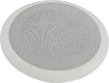 ワイヤレススピーカー シルバー 天井取り付け ワイヤレススピーカー シルバー 天井取り付け