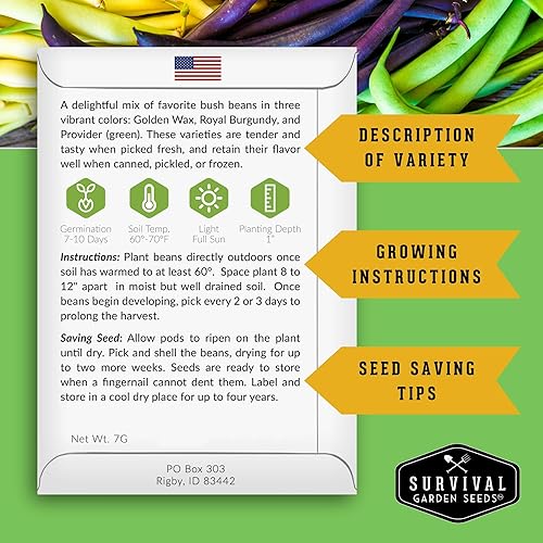 Miniatura 2 de Survival Garden Seeds - Semilla de frijol tricolor para plantar - Paquete con instrucciones para plantar y cultivar frijoles arbustivos amarillos,
