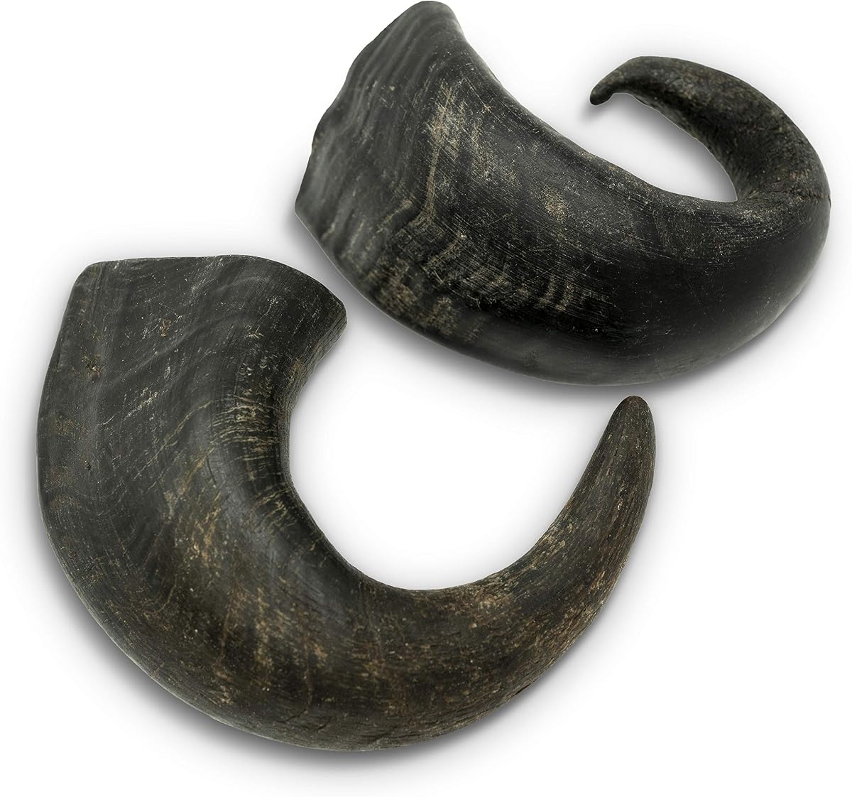 Wild Eats Water Buffalo Horn Dog Bones and Chews, 2 Pack, Medium, No Hide | Natural single source protein treats, grain free and long lasting snacks that keep pups busy and satisfied through the day