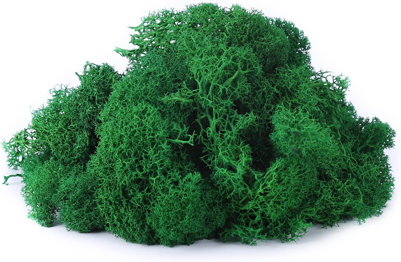 IHKFILAN Reindeer Moss 100Gram Real Preserved Natural for Crafts, Decorative Easter Decoration, Model Making (Emerald Green, 3.5OZ)