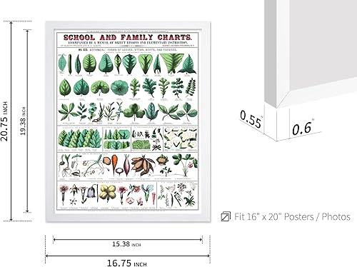 Miniatura 450 de Poster Master Póster vintage de orquídea, estampado de flores retro, arte de pared de plantas exóticas, arte botánico, regalo para hombres y