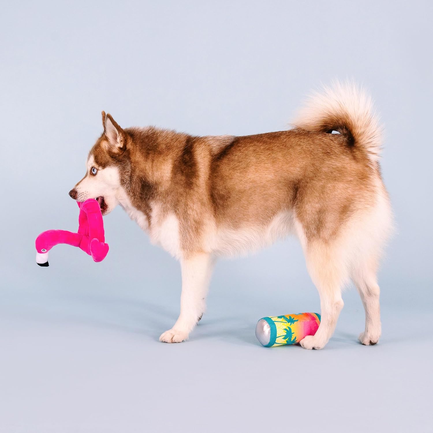 フリンジスタジオ ぬいぐるみ 犬 おもちゃ セット プール デイズ サンレイズ 2点セット ペットショップコレクション (31204