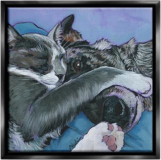 Stupell Industries Cat & Dog Sleeping Framed Floater Canvas Wall Art by Nadi Spencer