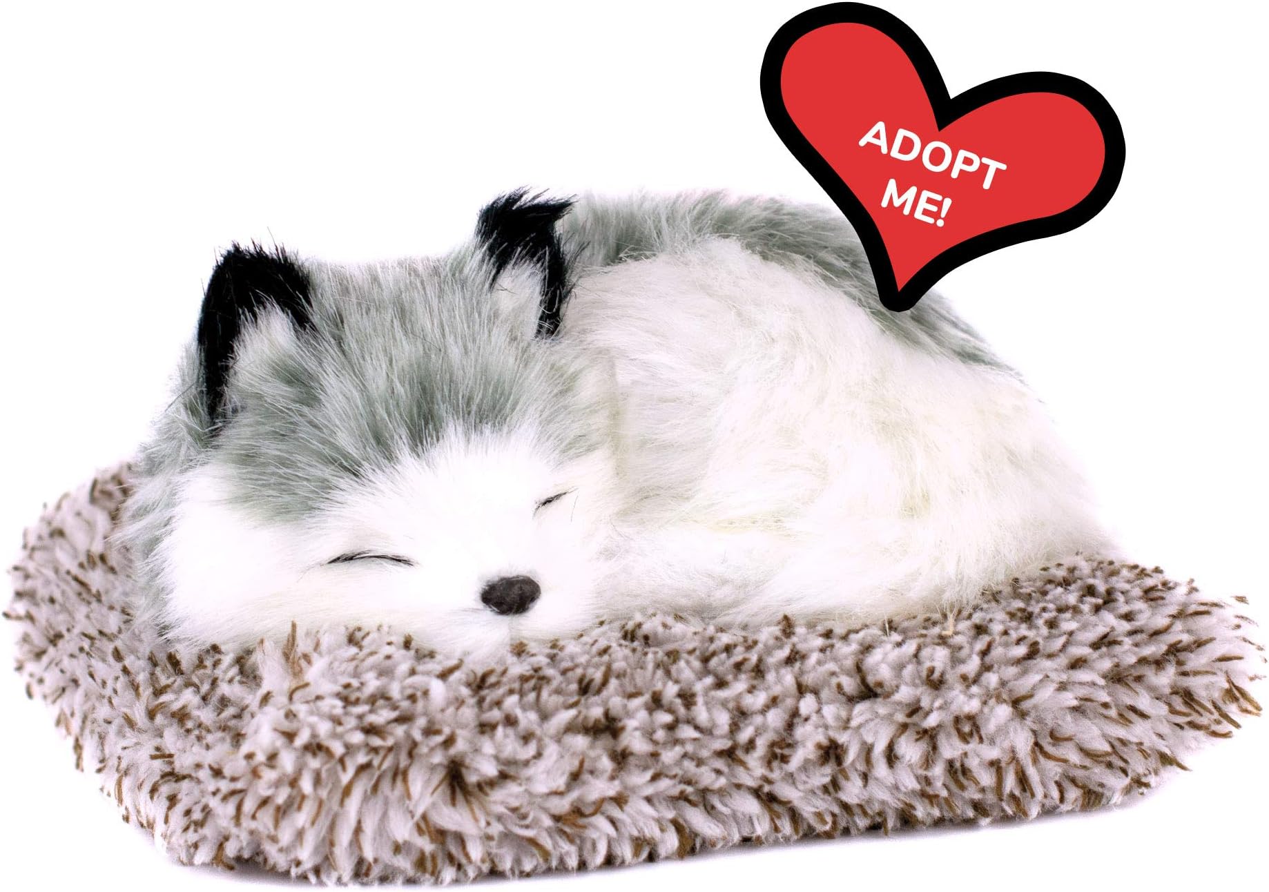 Mini Baby Alaskan Husky Puppy Dog