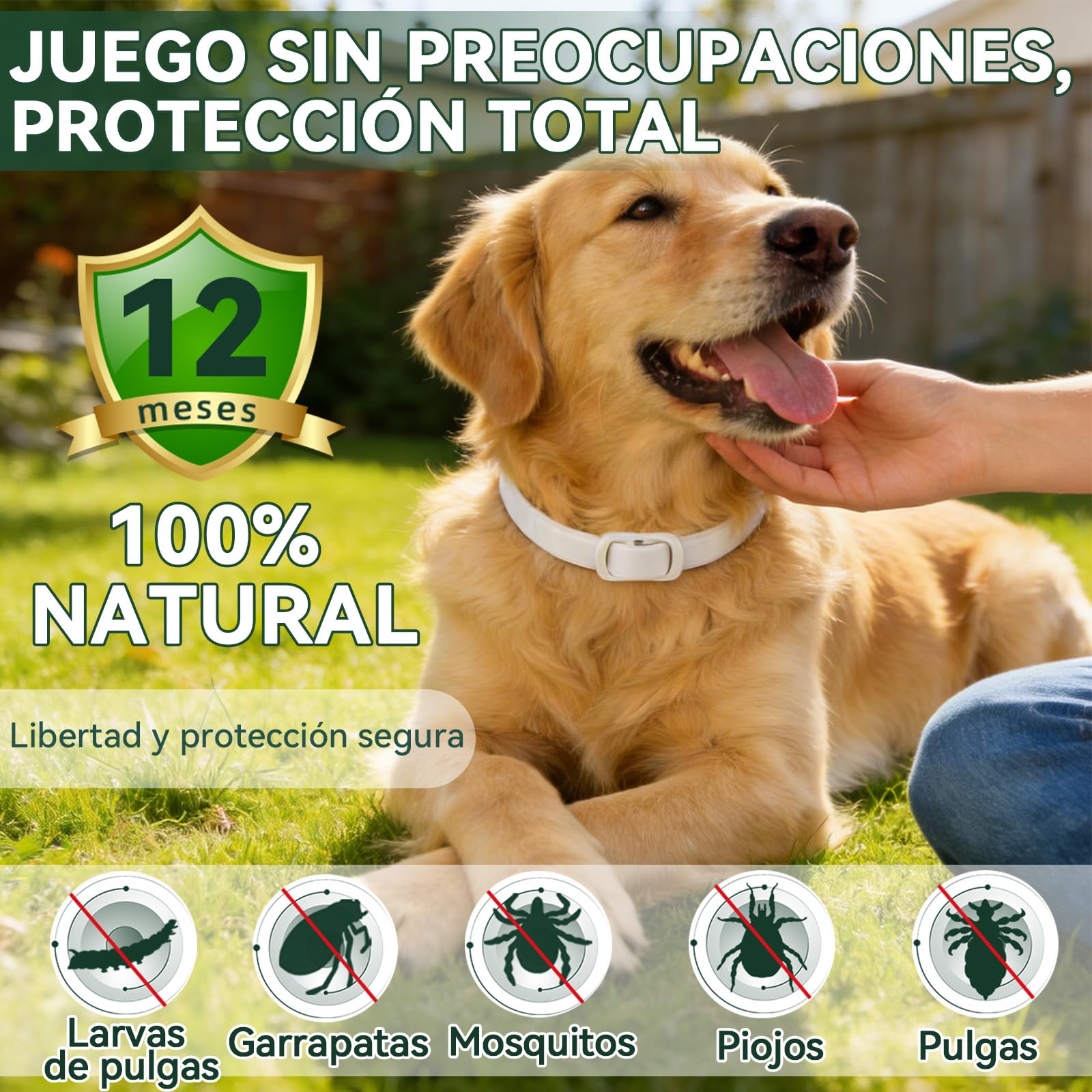 Collar Antiparasitario Perros, Protección Efectiva Collares Antiparasitarios para Perros, 100% Natural, Impermeable, Adjustable, Collar Antipulgas Perros para Pequeños, Medianos y Grandes,65 cm - 3