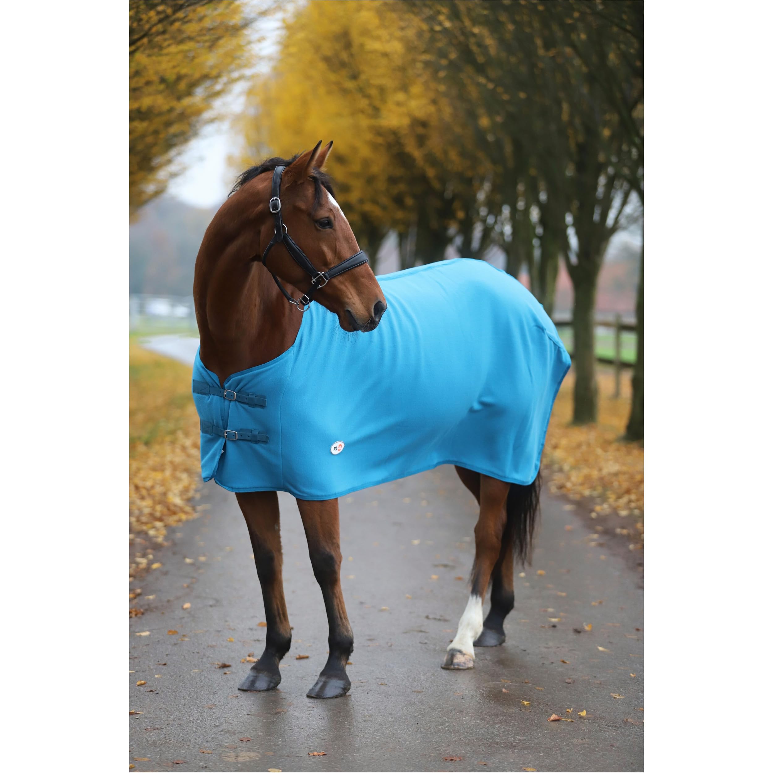 RL24 - Abschwitzdecke Basicline – Pferdedecke mit Schweifkordel, Widerristpolster & Metallverschluss – atmungsaktive Fleecedecke – Pferde Zubehör – Transportdecke in Petrol – 95cm