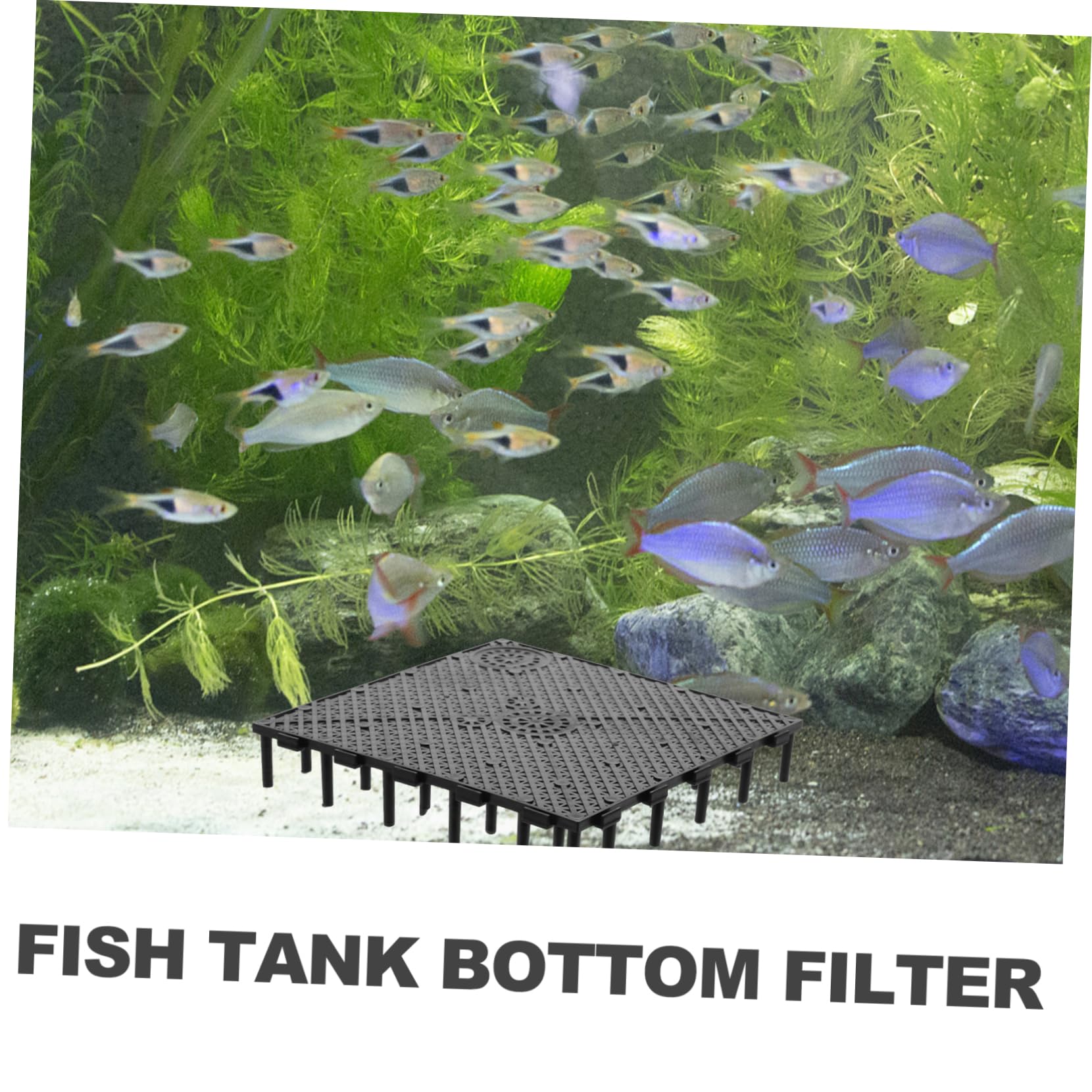 Mikikit 10 Stücke Aquarium Bodengitter: Platte PVC Fischtank Bottom Filter Aquarium Undergreavel Kunststoff Filterbrettteiler Aquarium Tank Bottom Black