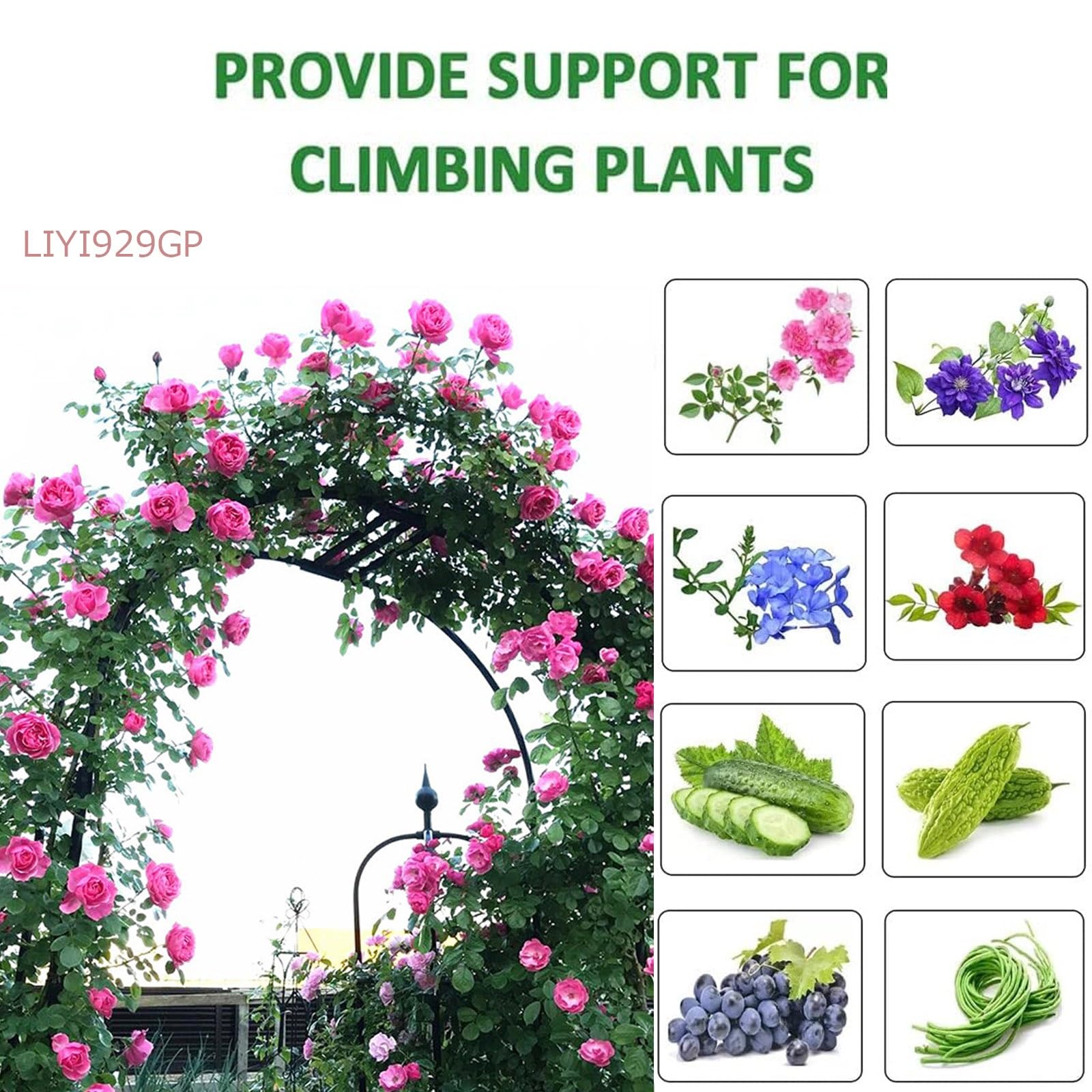 LIYI929GP Arco Jardín Metálico Ligero Y Duradero, Fácil De Montar Marco De Escalada para Plantas, 19mm Tubo De Acero, para Enredaderas De Rosas, Decoración De Bodas Al Aire Libre