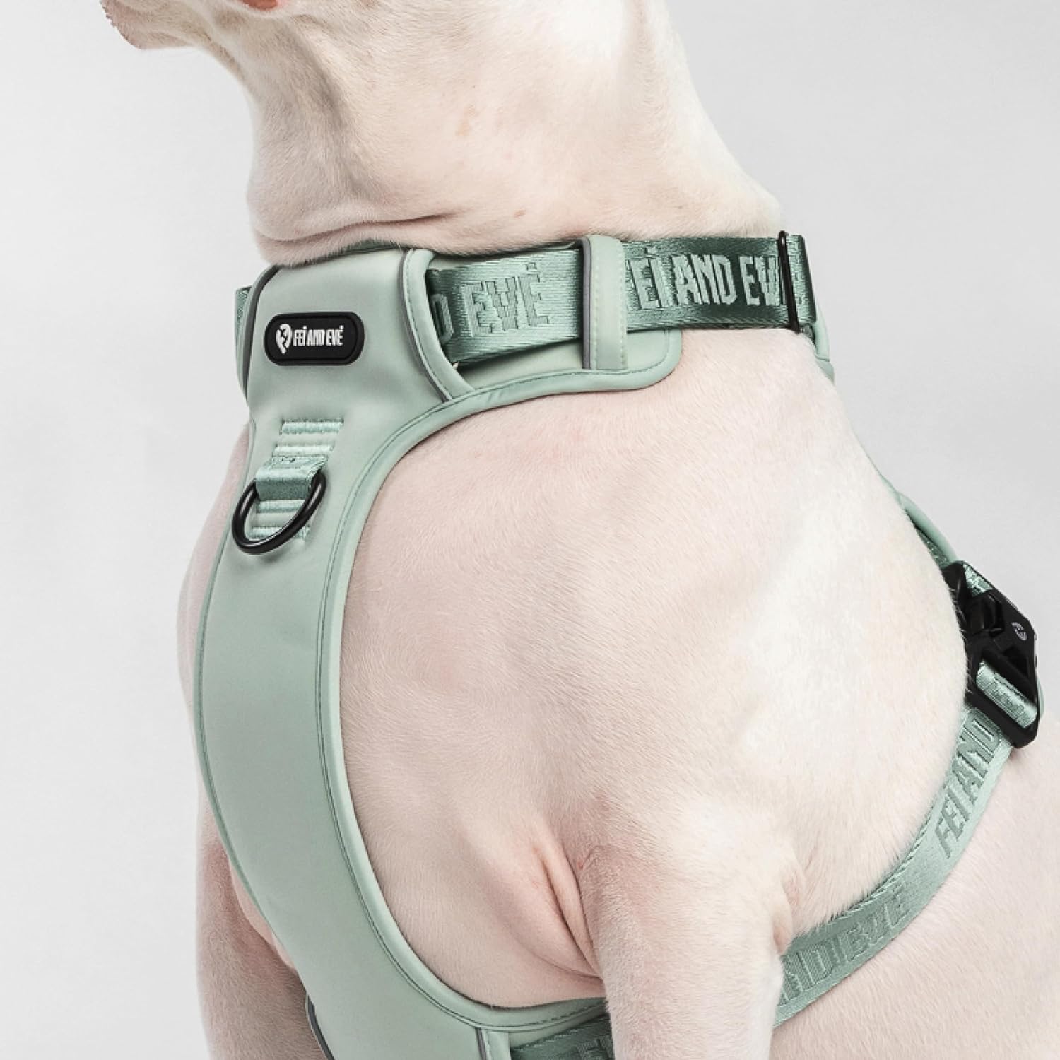 2026 New Editions, Fei and Eve Cloud MagEase Dog Harness, Quick-Release Buckles, Reflective, 3-Point No-Pull Control, Breathable Mesh, Adjustable Fit, X-Large, Glacier Green