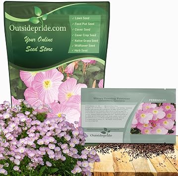 Outsidepride Showy Evening Primrose Seeds - 5000 Pcs Perennial, Hardy, Easy to Grow & Low Maintenance Flower Seeds for Planting Vibrant Soft Pink Blooms, for Containers, Borders & Erosion Control