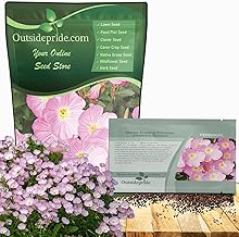 Outsidepride Showy Evening Primrose Seeds - 5000 Pcs Perennial, Hardy, Easy to Grow & Low Maintenance Flower Seeds for Planting Vibrant Soft Pink Blooms, for Containers, Borders & Erosion Control