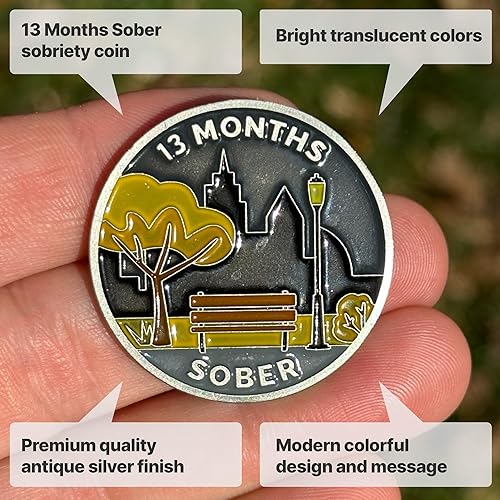 Miniatura 2 de The Achieve Mint Ficha sobria de 13 meses  Chip sobrio de trece meses  Regalo no AA, medallones no religiosos para hombres y mujeres que celebran la