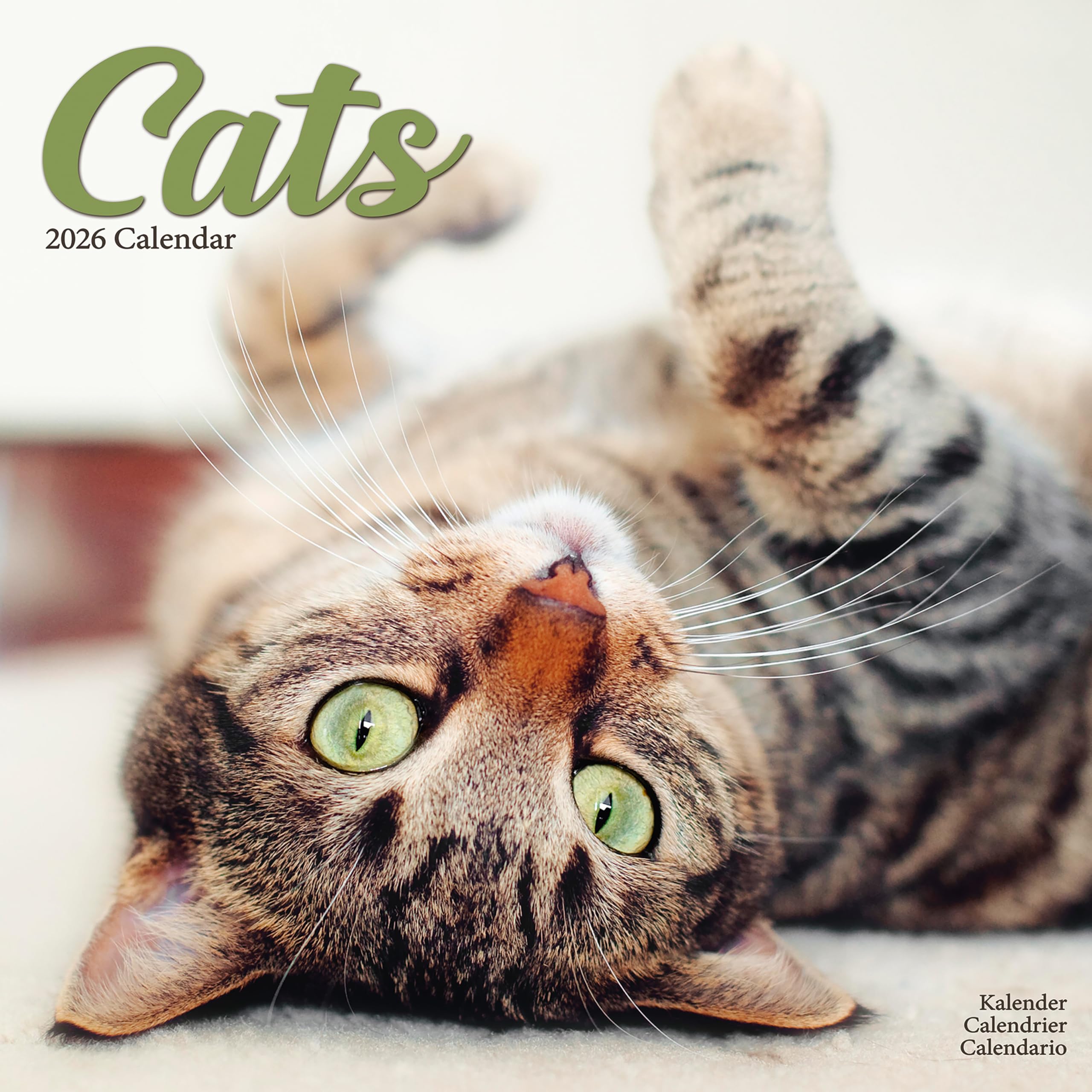 Cats Calendar 2026