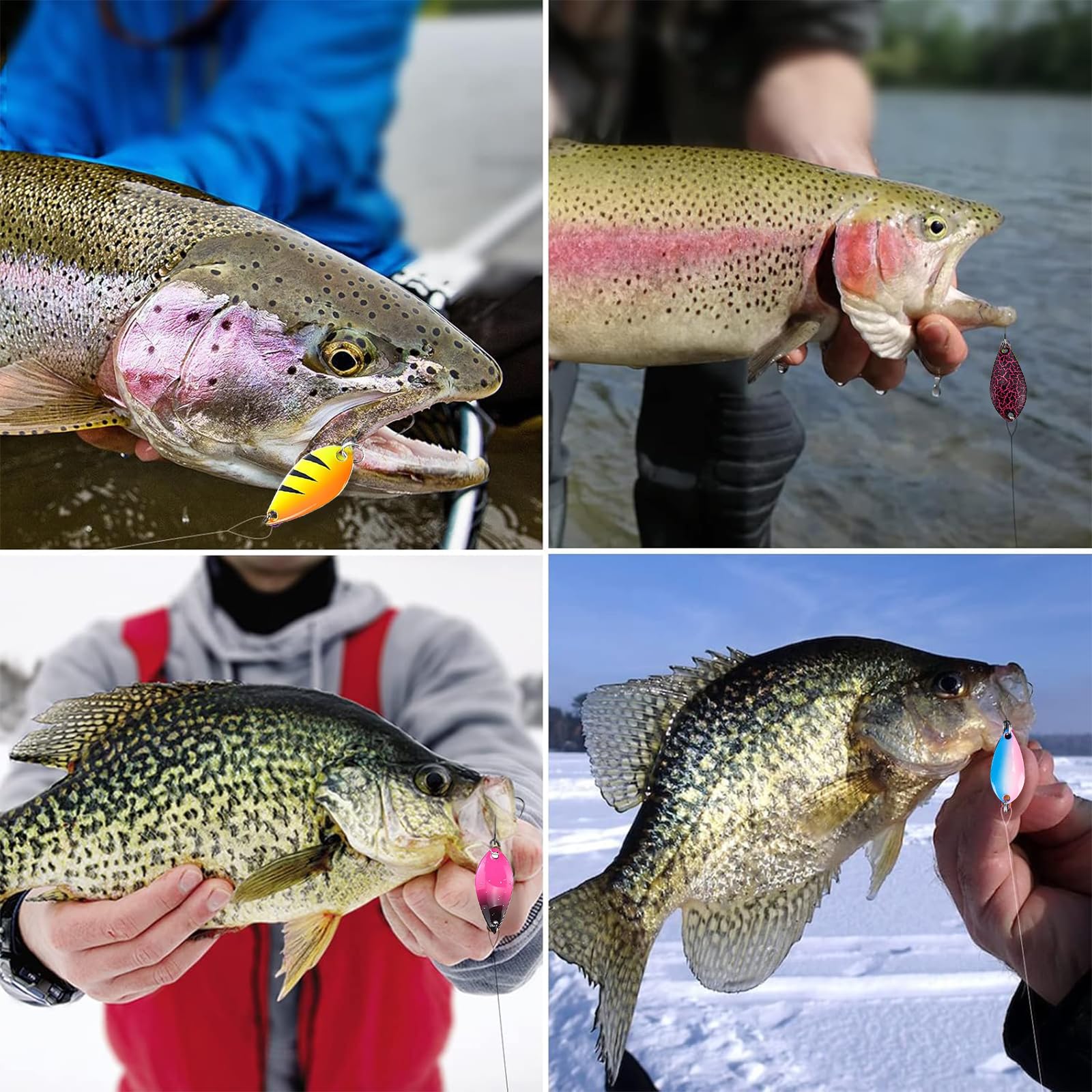 Set di 16 esche per trote, set di esche per trote, spinner, set di indicatori di direzione per trota, 2,5 g / 3,5 g / 5 g, set di accessori da pesca per pesce persico, luccio, lucioperca, trota