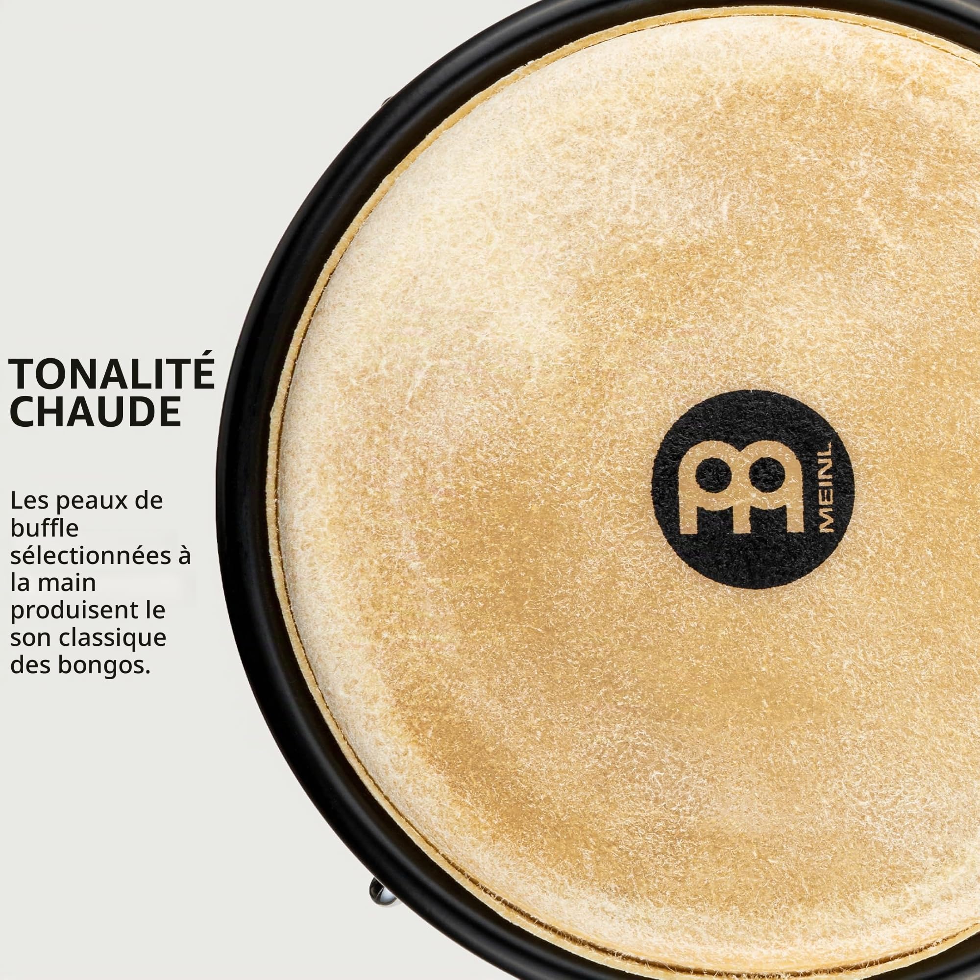 Meinl Percussion Bongos Headliner Wood - deux hand drums de 6,75 et 8 pouces - avec clé d'accord - chêne du Siam, Naturel (HB100NT)