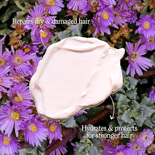 Miniatura 4 de California Naturals Mascarilla reparadora profunda, sin parabenos ni sulfatos, acondicionador profundo para cabello seco y dañado, náutico, vegano,