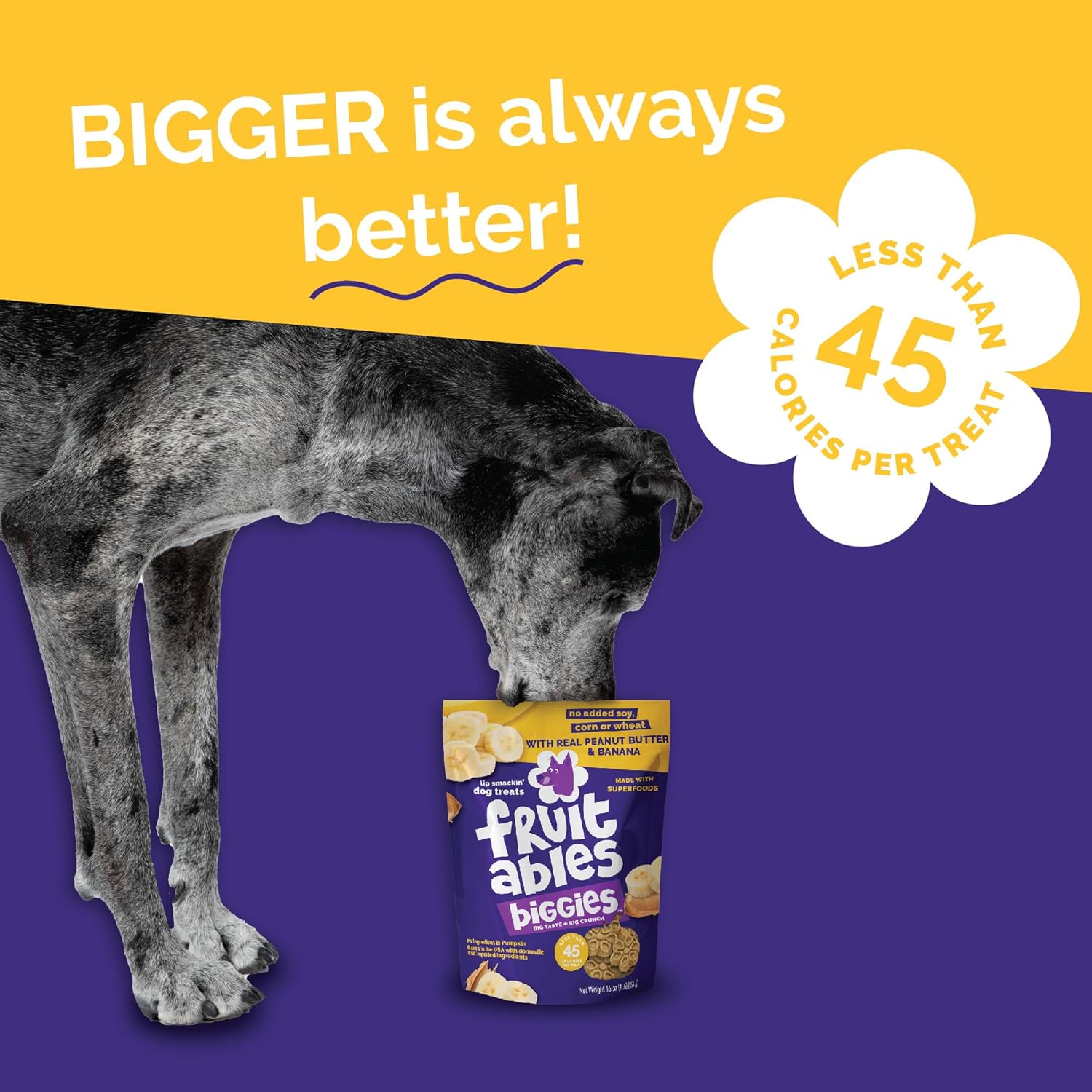 Fruitables Biggies Dog Biscuits, Healthy Treats for Dogs, Doggie Biscuits, Crunchy Pumpkin Treats, No Wheat, Corn or Soy, Made in the USA, Peanut Butter and Banana Flavor, 16oz