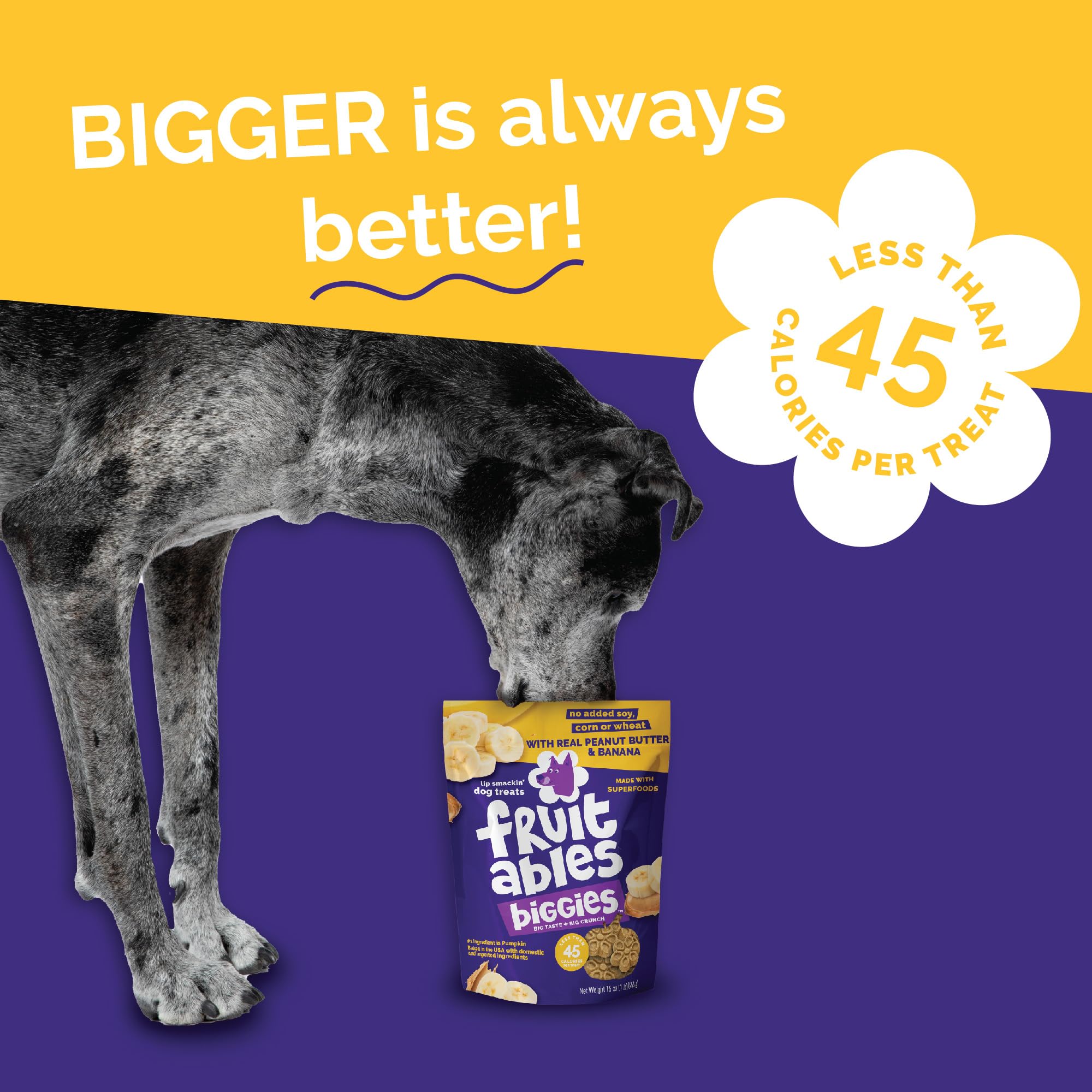 Fruitables Biscotti Per Cani | Biscotti Croccanti Per Cani A Base Di Zucca | Dolcetti Per Cani Sani Pieni Di | Senza Grano, Mais E | Burro Di Arachidi & Banana - 450 g