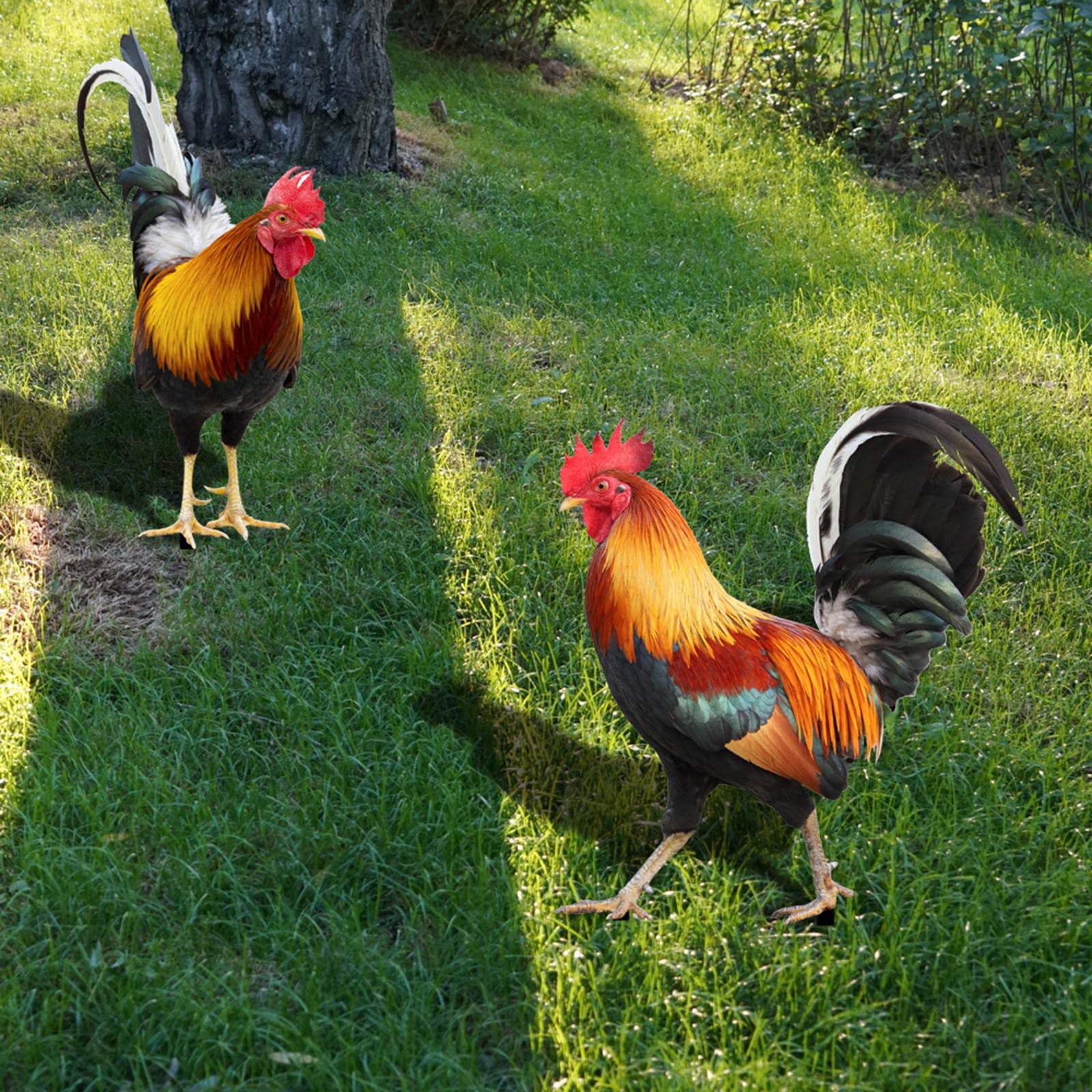 TOG Rooster Animal Statue Chicken Sculpture for Pathway Courtyard Lawn Yard Style B'|Home & Garden| Yard, Garden & Outdoor Living| Garden Decor| Statues & Lawn Ornaments'-image-45