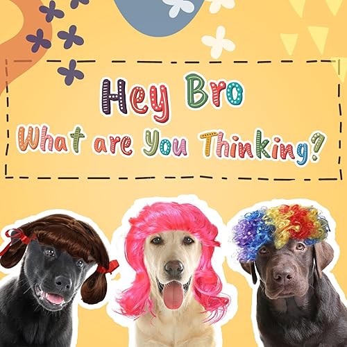 Miniatura 4 de Crowye 9 pelucas para perro, pelucas para mascotas, peluca de pelo de perro con banda elástica ajustable, divertidos disfraces de perro para