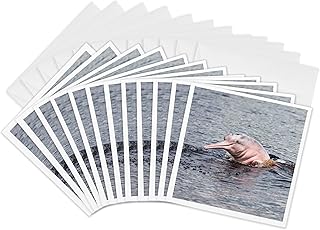 Greeting Cards - Brazil, Amazon, Manaus, Rio Negro, pink river dolphin saying hi. - 12 Pack - Dolphins