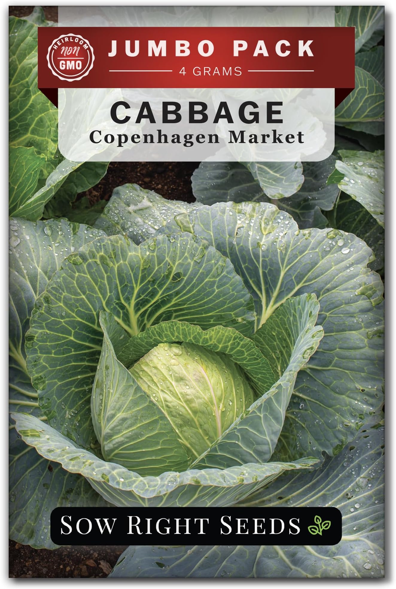 Cabbage Copenhagen Market Seeds