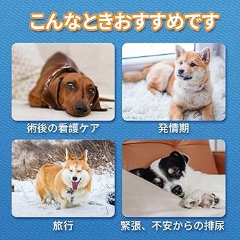 HONEYCARE All-Absorb 犬用オムツ　S 40枚　12袋セット 楽天市場】【2点以上ご購入で10％OFF クーポン・期間限定
