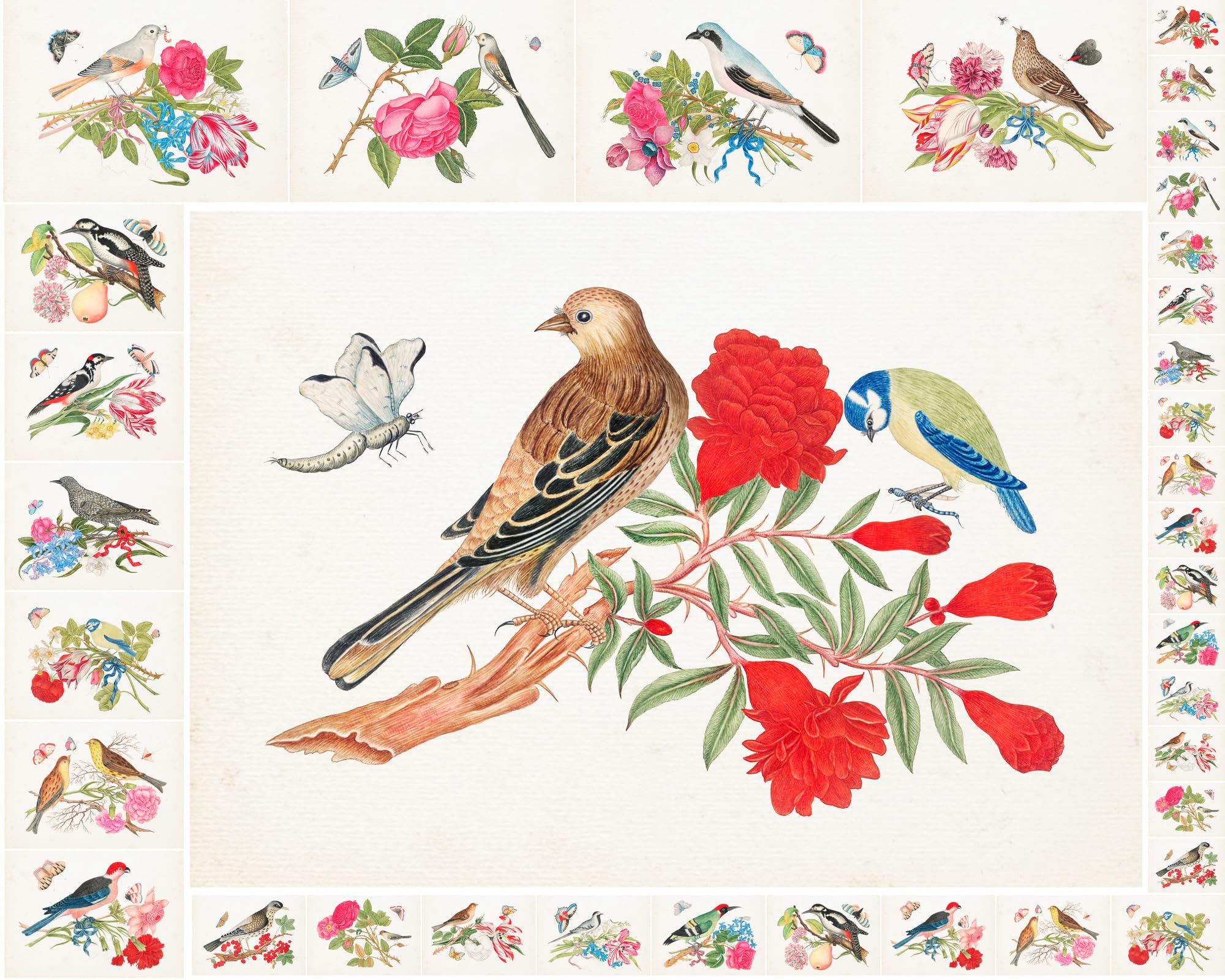 Papier pour découpage oiseaux pour réussir vos cartes et projets d'artisanat
