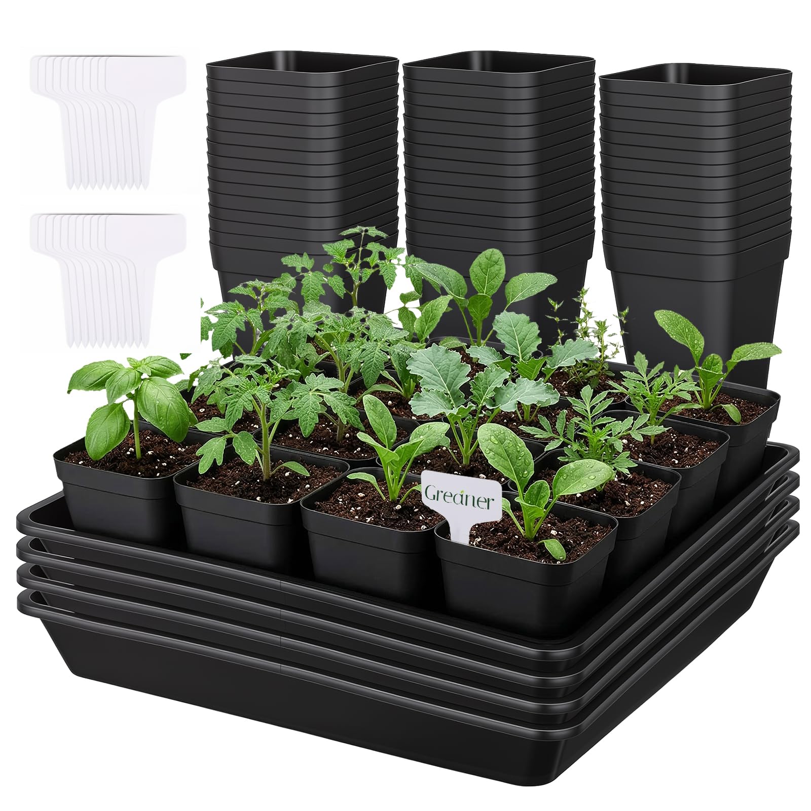 GREANER 4PCS Seed Starting Trays 12 Inch, 60PCS 2.7 Inch Sturdy Seedling Pots with Drain Holes and 20PCS Plant Labels for Indoor&amp;Outdoor Use