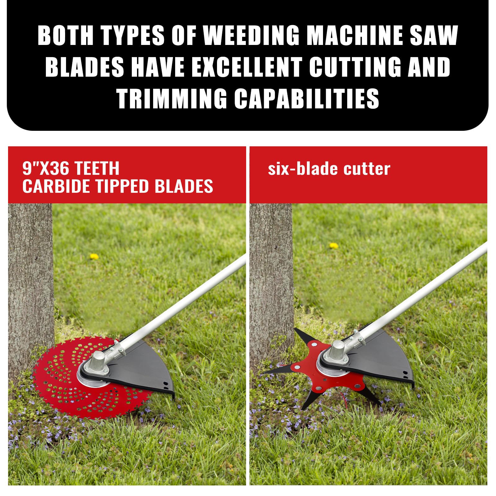 https://m.media-amazon.com/images/I/81eByVBGypL.jpg