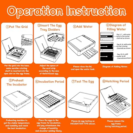 Automatic Egg Incubator, 36 Egg Capacity | Automatic Egg Turner, Thermometer Control & Humidity Control, Egg Candler, 360 View, For Hatching Chicks