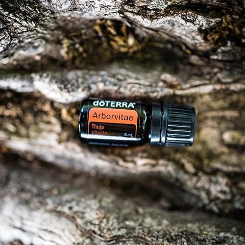 Miniatura 6 de doTERRA - Aceite esencial de arborvitae - 5 mL