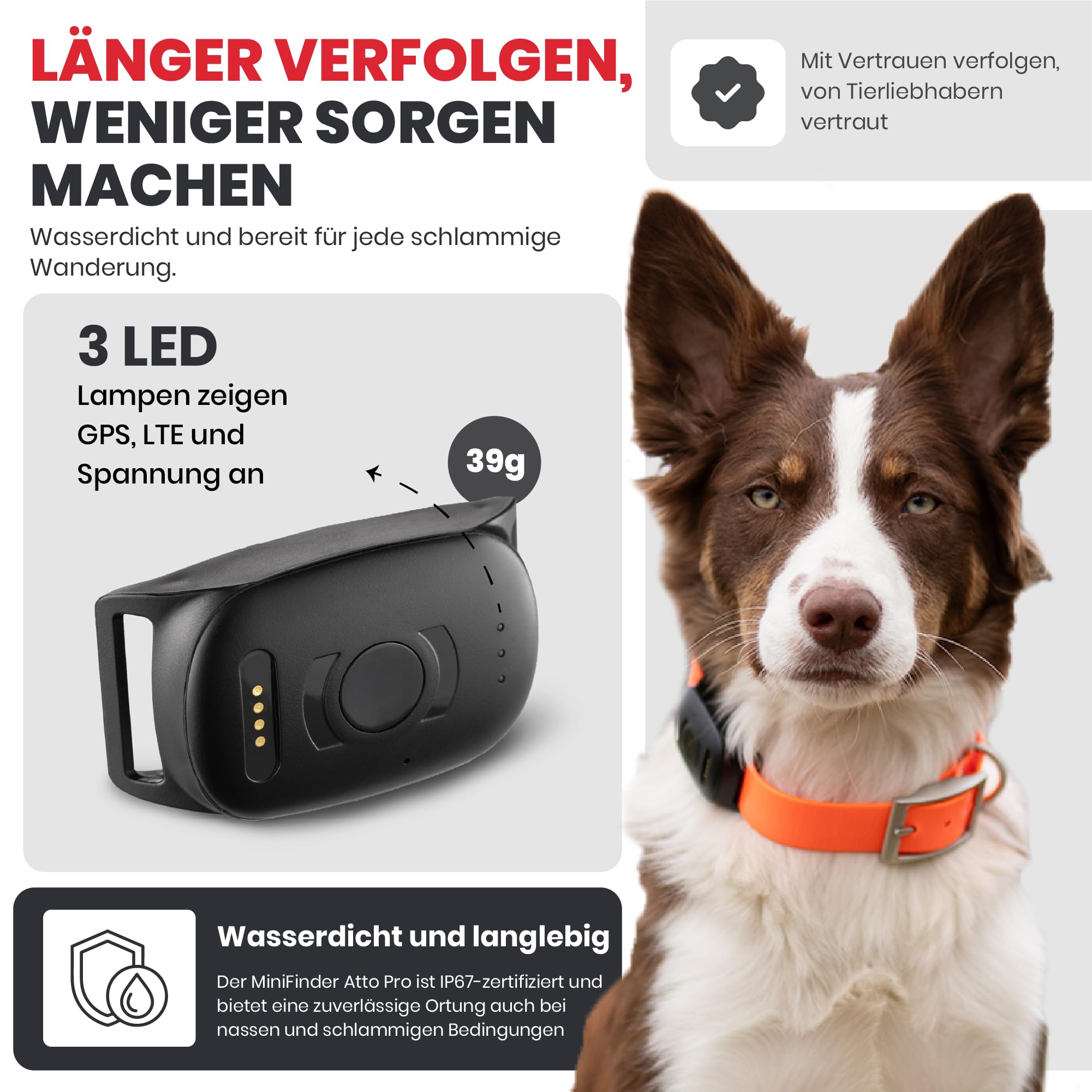 MiniFinder Atto Pro GPS Tracker Hund Echtzeit-Ortung, Hunde GPS Tracker mit integrierter SIM Virtuellem Zaun Escape-Alarm, Wetterfest 35h Akku GPS Ortung Haustier