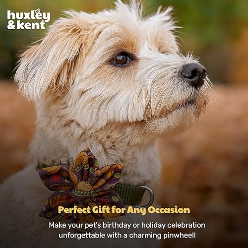 Miniatura 9 de Huxley & Kent Molinete para mascotas  Cena de pavo (grande)  Accesorio de collar de otoño para perrosgatos  Accesorio de collar de lazo  Accesorio