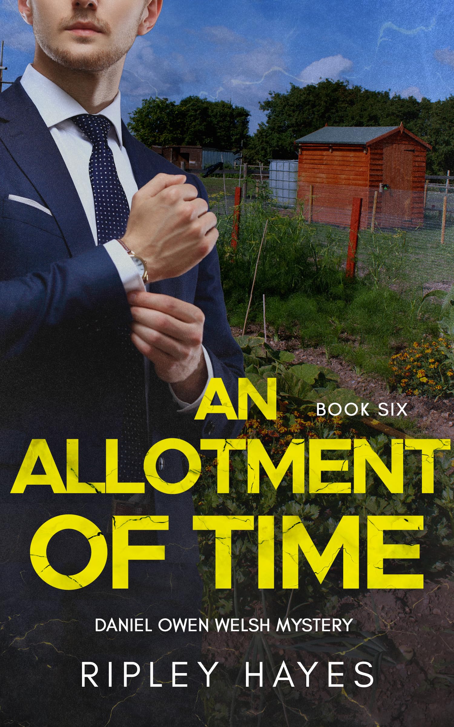An Allotment of Time : A Gay Mystery (Daniel Owen Welsh Mysteries Book 6)