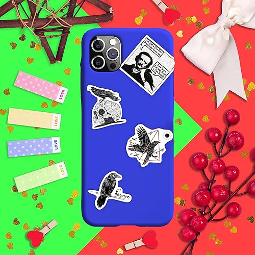 Vista 306 de BulbaCraft 100 calcomanías de meme de gato, divertidas calcomanías de gato, regalos para mujeres y hombres Gato Meme