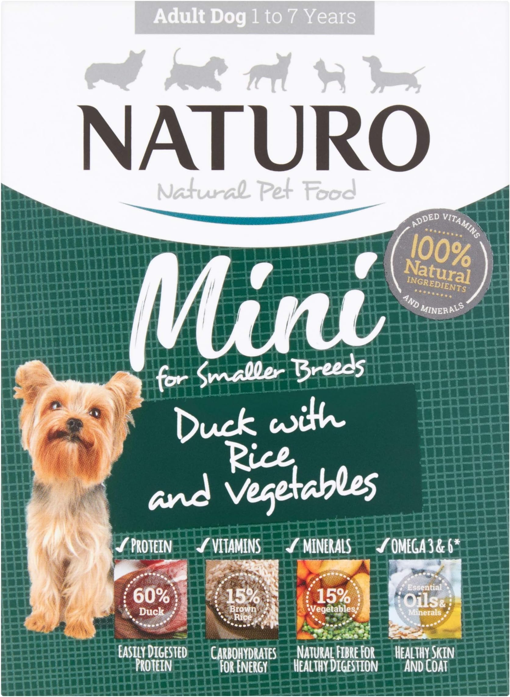 Cesar Garden Terrine Adult Wet Dog Food, Mixed Selection in Loaf