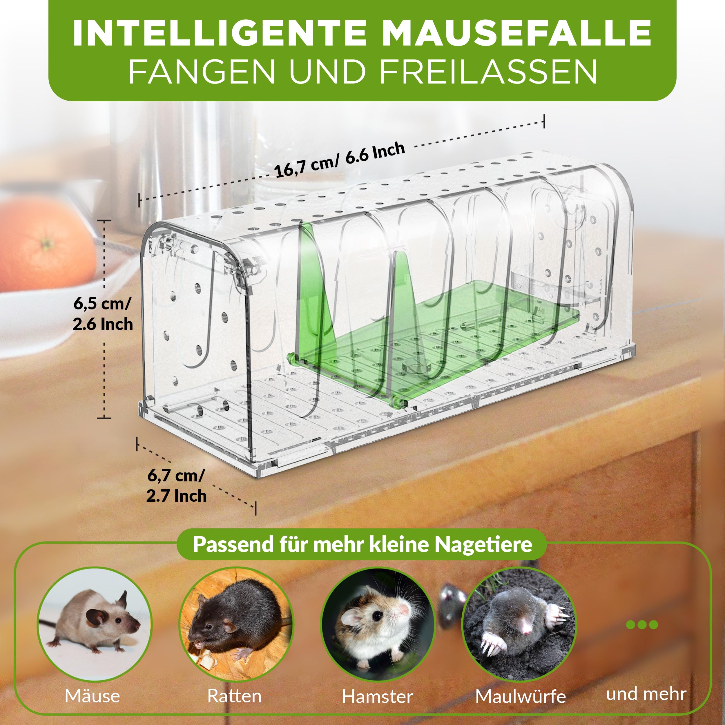 ISOTRONIC Mausefalle Lebend mit Köderbox – tierfreundliche Lebendfalle für Mäuse, Ratten & andere Nagetiere – Wiederverwendbare Rattenfalle mit berührungsloser Freigabe & extra Luftlöchern (1 Stück)