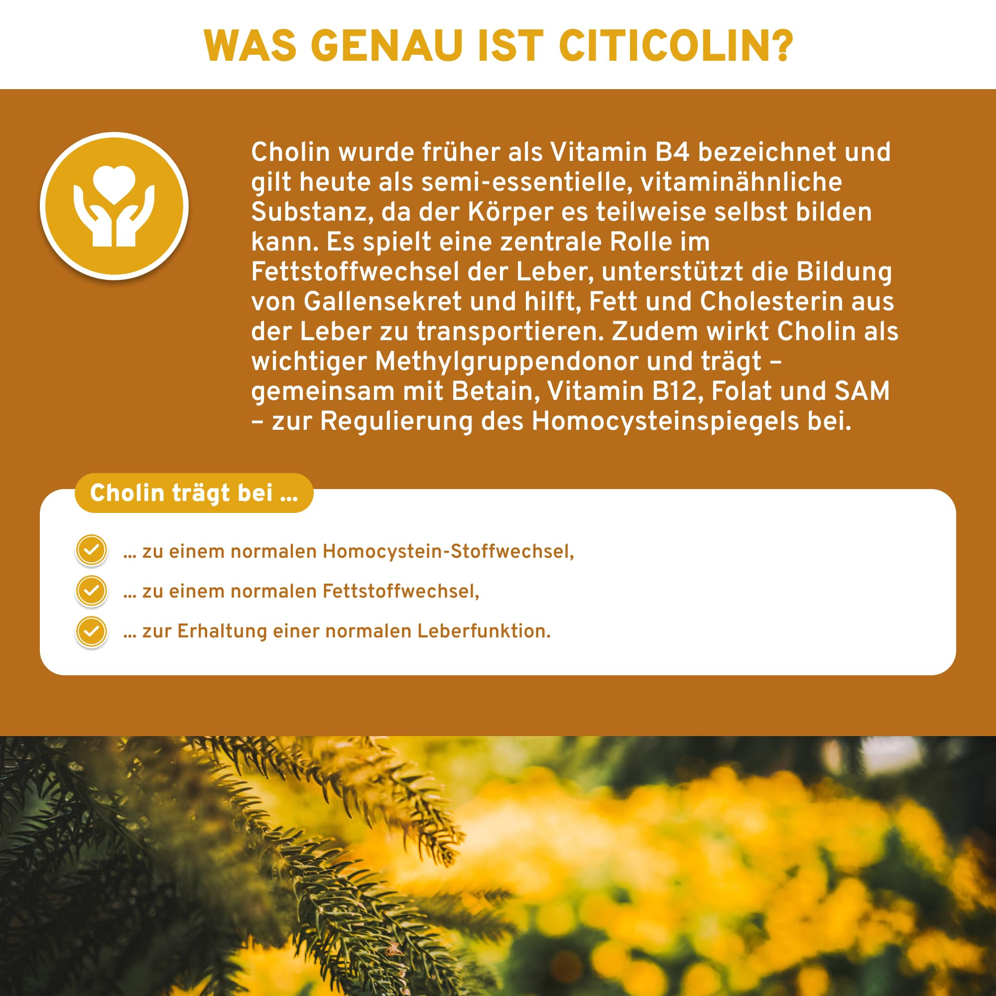 QIDOSHA® Citicolin mit dem Markenrohstoff Cognizin®, 500mg Citicolin je Kapsel, 90 Kapseln im Apothekrglas, jede Charge laborgeprüft, deutsche Fertigung