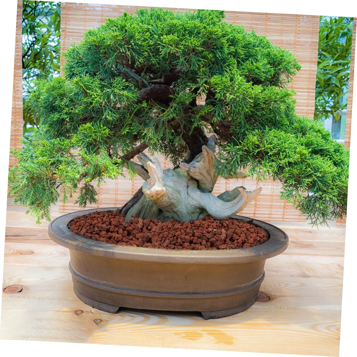 5bags Volcanic Rocks for Aquarium and Plant Decorations Stone for Bonsai and Potted Plants Aesthetic Appeal and Provides Safe Habitat