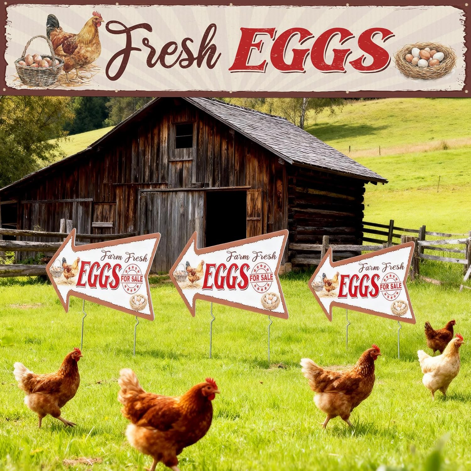 Tegeme 4 Pack Fresh Eggs Stand Supplies 1pcs 2x10 ft Banner and 3 Pcs Fresh Eggs Yard Signs with Metal Stakes Double Sided Print for Advertising Business Store Decor Home Lawn Outdoor
