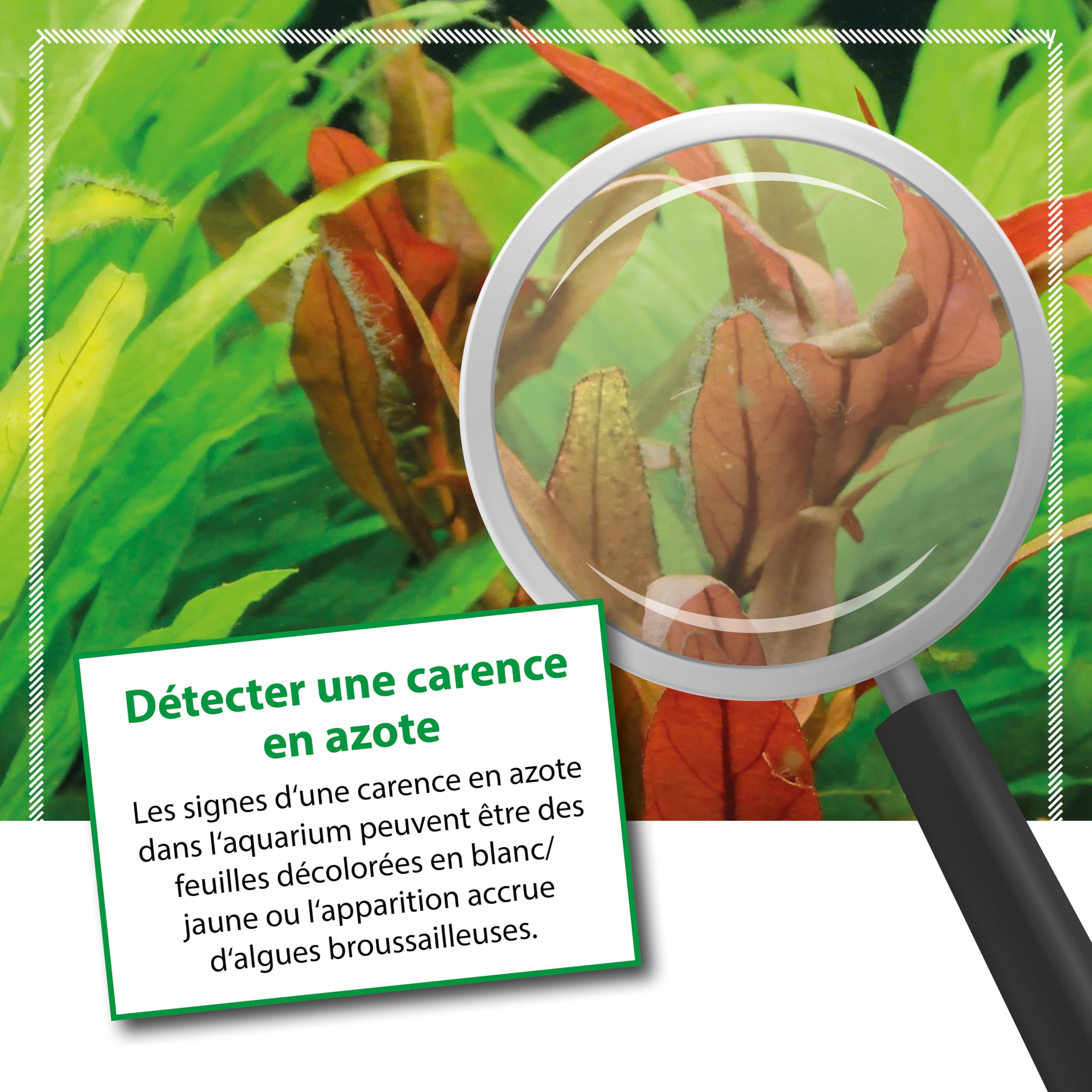 Engrais Plants N Microbe-Lift - Azote Pour Plantes Aquarium - Sans Phosphates - 118ml