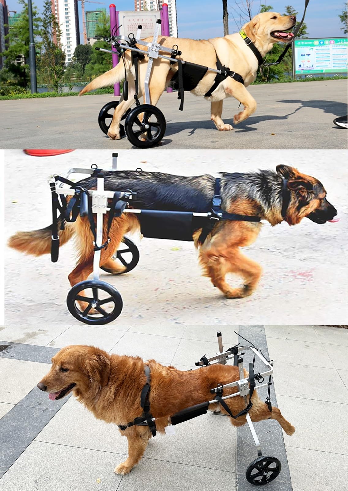 Dog Wheelchair 2XLサイズ Amazon.com: CMYUN M/L/XL/XXL/XXXL Extra Large Dog Wheelchair