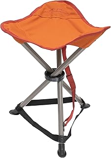 camping stool target
