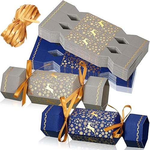 Tenceur Kit de 50 piezas de galletas navideñas sin broches de presión, regalos de mesa de fiesta de Navidad, copos de nieve, renos, bricolaje,