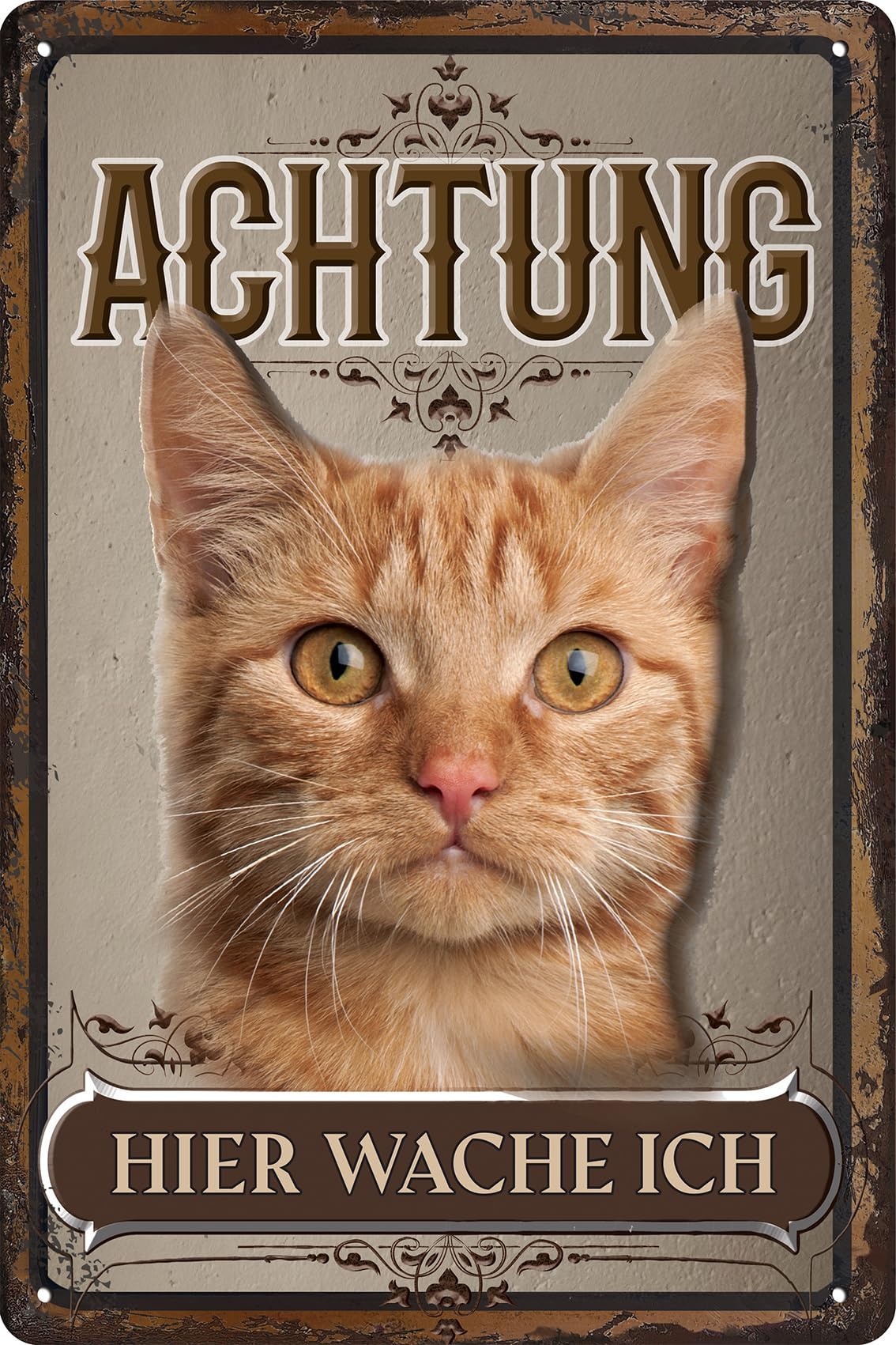 LUCKYLINDE – Wetterfestes Katzen Blechschild auch für den Außenbereich, Türschild, Hinweisschild, Warnschild: Achtung hier wache ich! - 20 x 30 cm (Tabby)