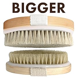 Dry Brushing Body Brush SCALA Natural Bristle Body Brush, Soft Body Exfoliating Brush Scrub for Dead Skin, Cellulite, Lymphatic Drainage, Blood Flow - Thicker & Stronger Medium Strength